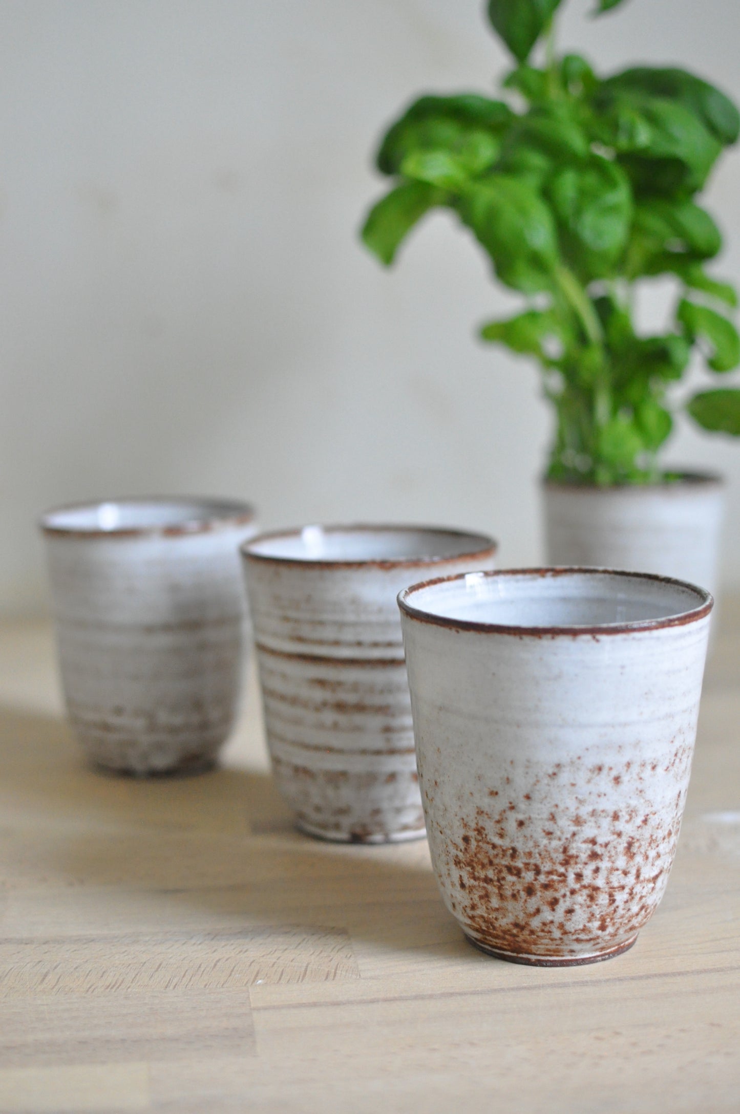 Korkea korvaton muki, rugged