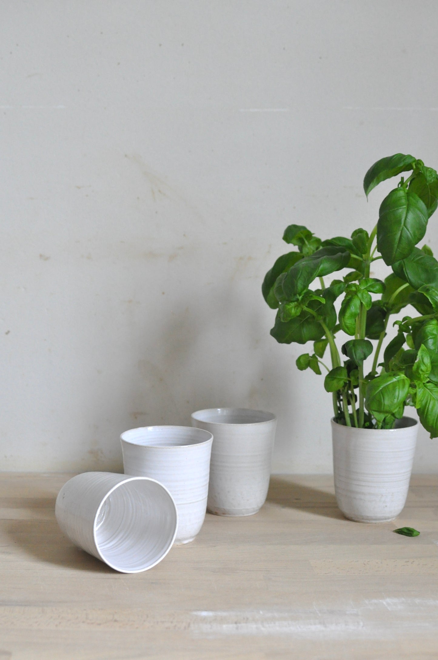 Korkea korvaton muki, white